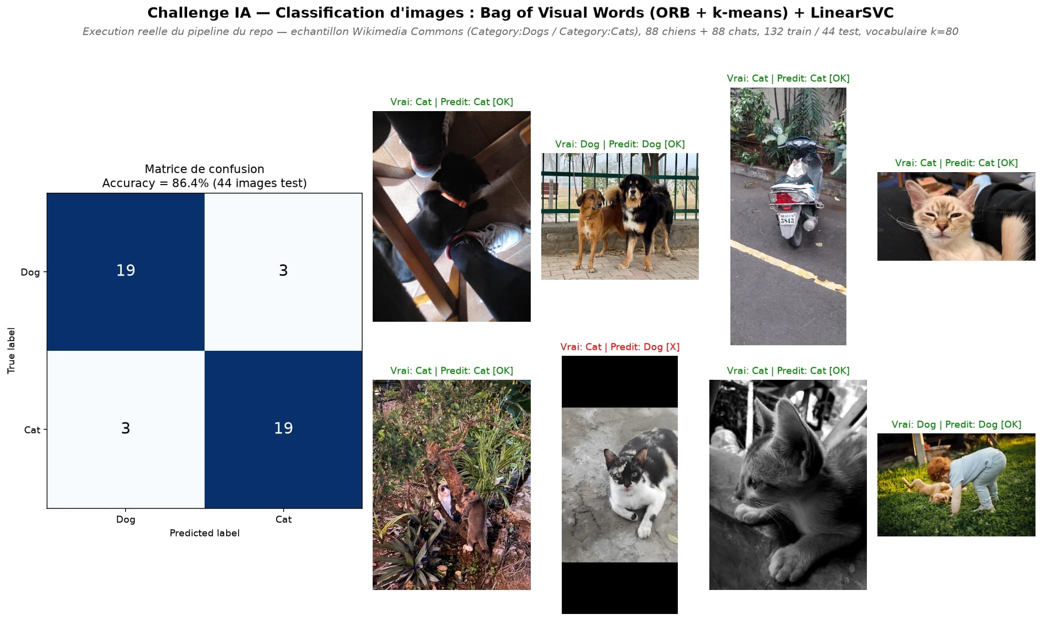 Matrice de confusion et exemples de prédictions chien/chat annotées du pipeline de classification
